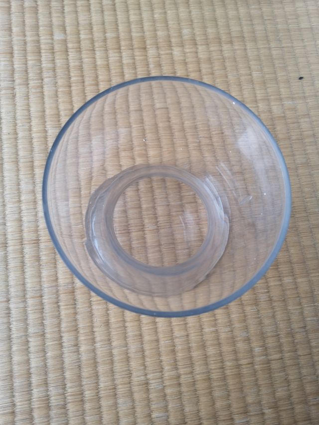 maceta de cristal para flores u orquídeas