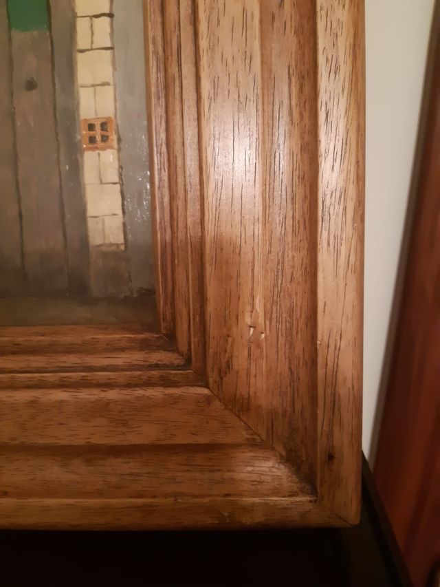 Cuadro de Gato sobre paisaje