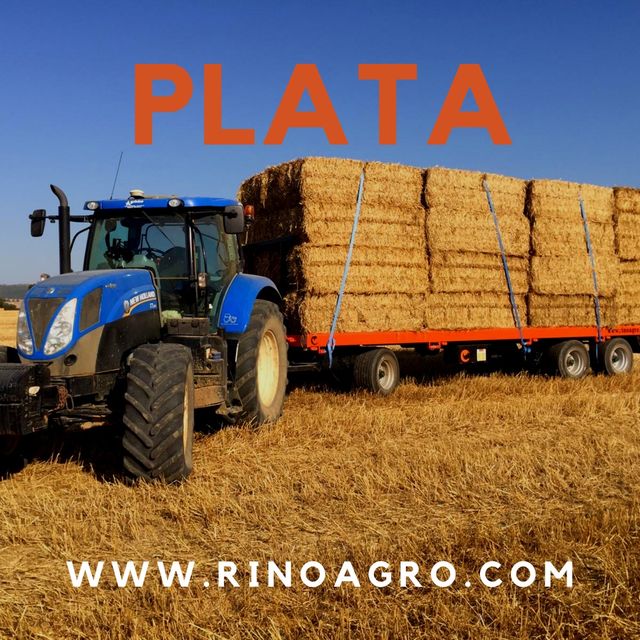 Remolque Alquiler Plataforma