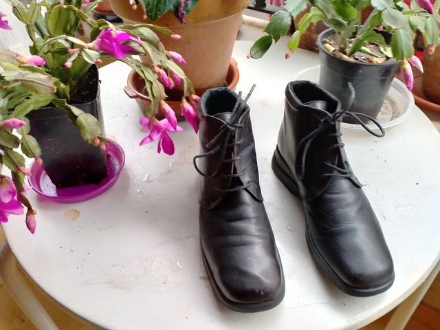 Botines de Mujer todo piel auténtica