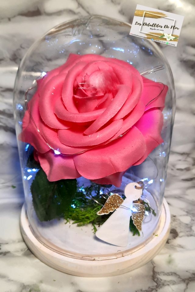 Cupulas con rosas para regalo!!