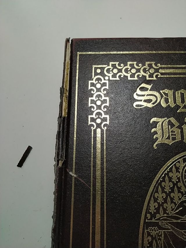 biblia ediciones océano