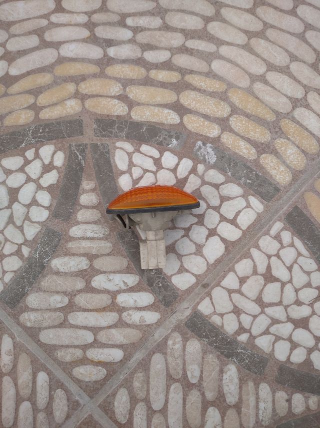 Intermitente izquierdo y derecho Nissan Primera