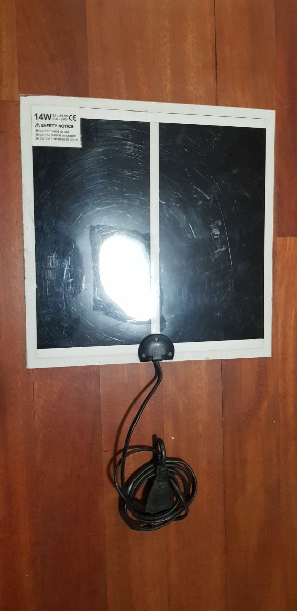 alfombra térmica reptiles. NO NEGOCIABLE