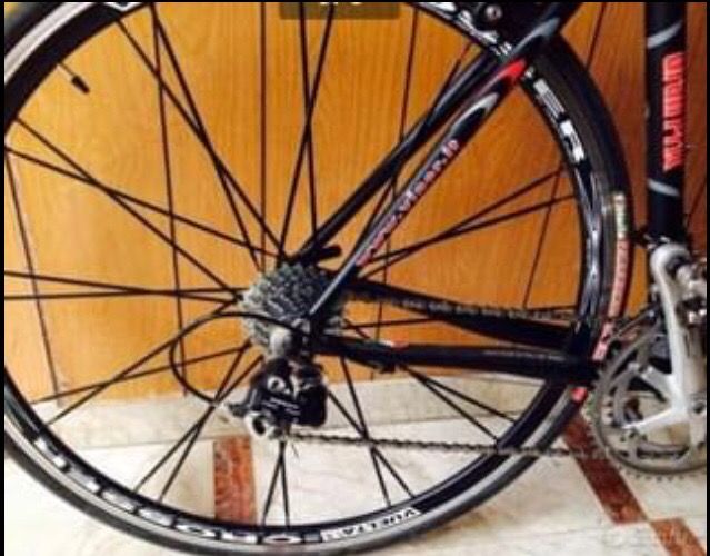 Bici da Corsa Viner Gran Prix *Nuova*