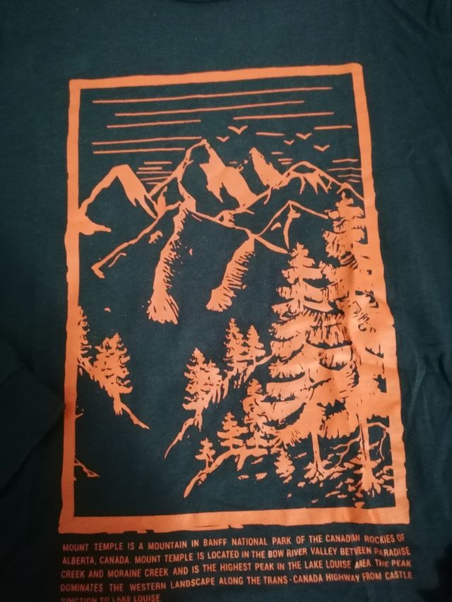 maglietta cotone maniche lunghe