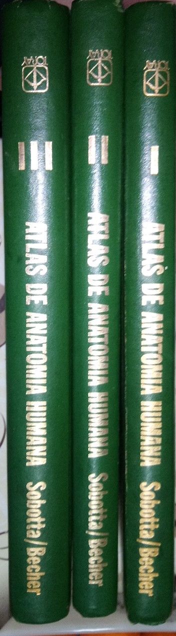 Atlas de Anatomía Humana