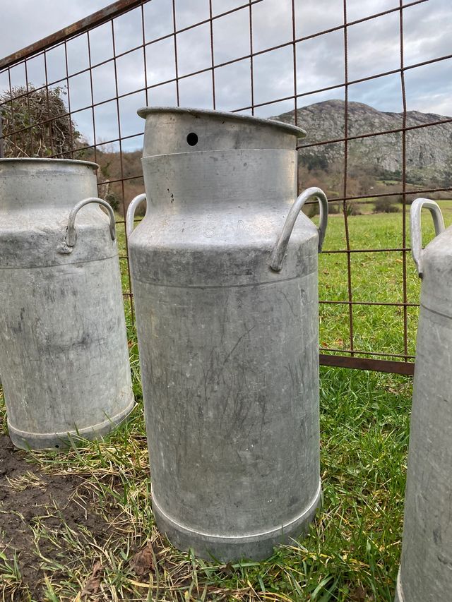 Lechera antigua para restaurar o usar