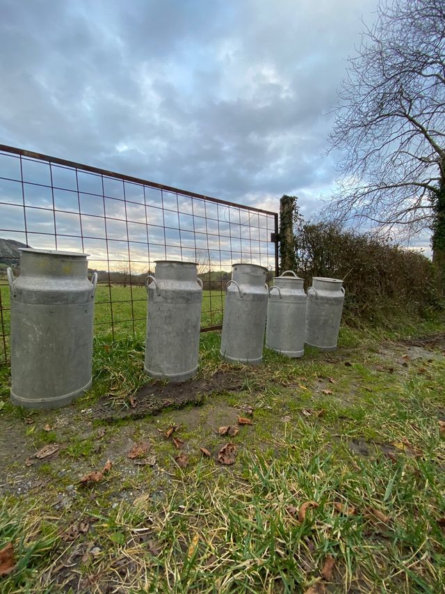 Lechera antigua para restaurar o usar