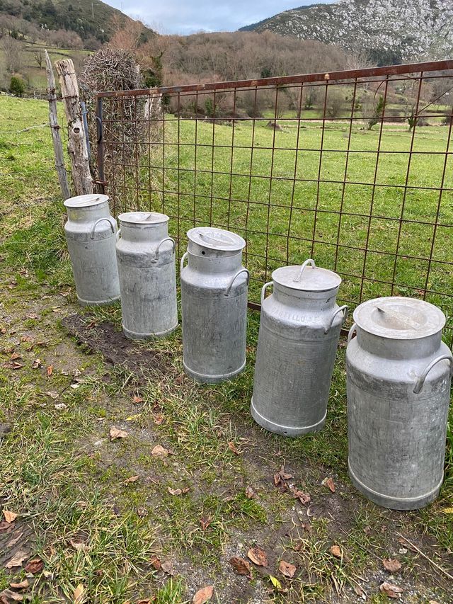 Lechera antigua para restaurar o usar