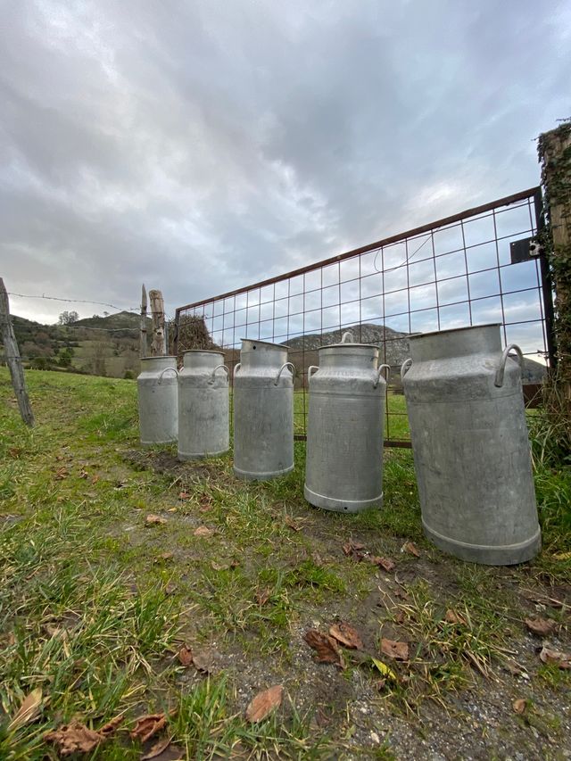 Lechera antigua para restaurar o usar