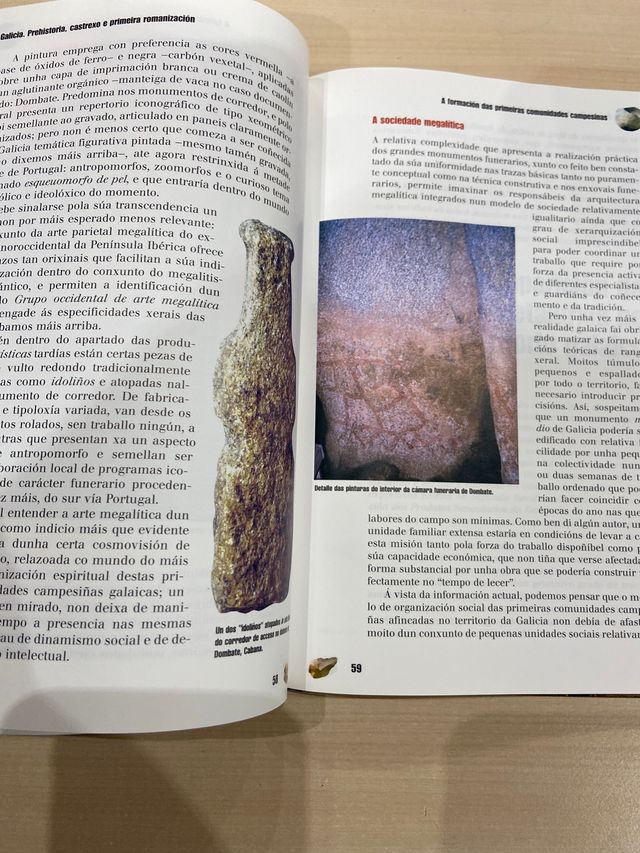 Galicia: Prehistoria, castrexo e primeira...