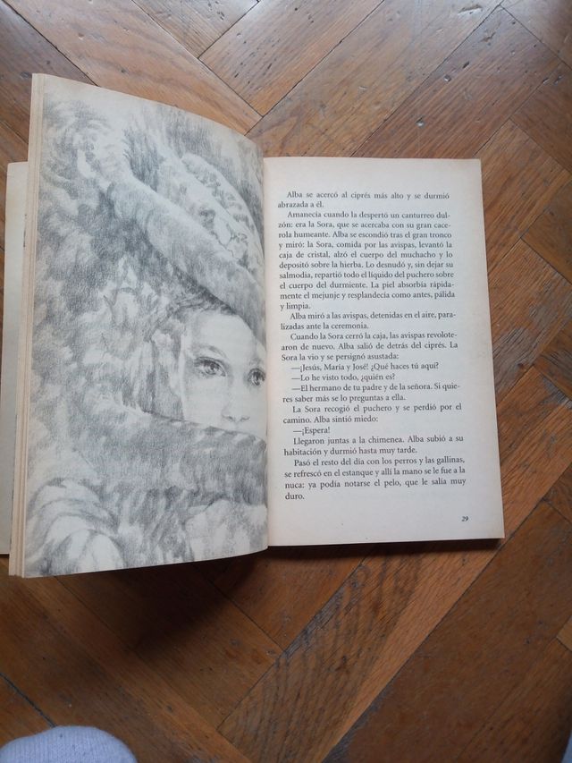 Alba, regina delle vespe. Emma Cohen.