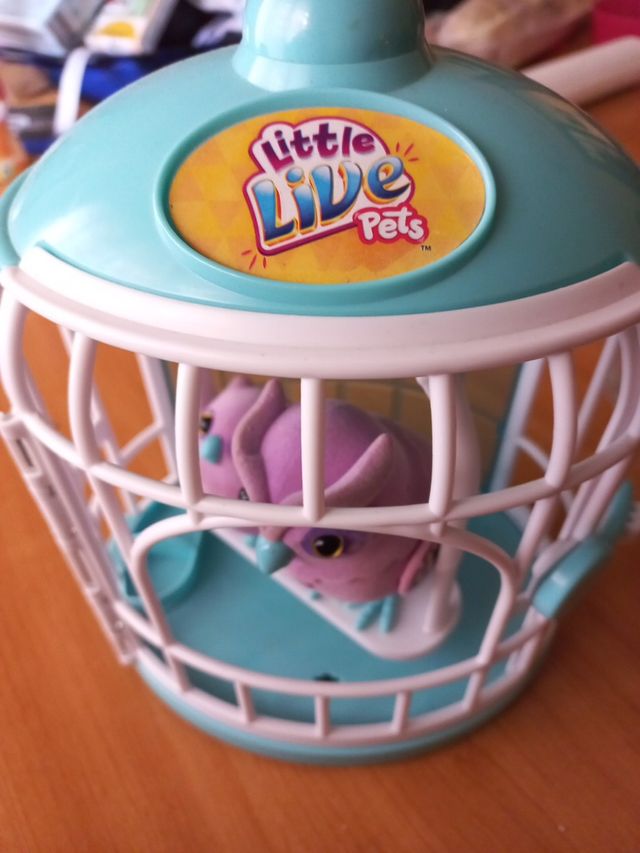 Pájaros Parlanchines