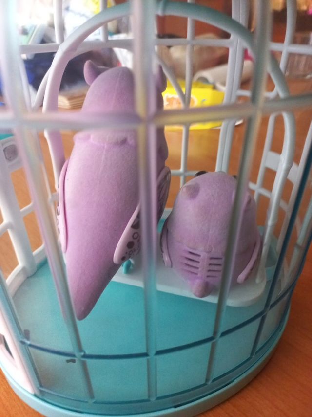 Pájaros Parlanchines