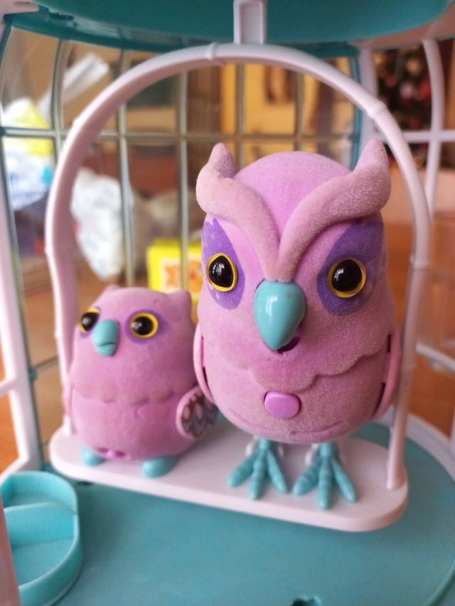 Pájaros Parlanchines