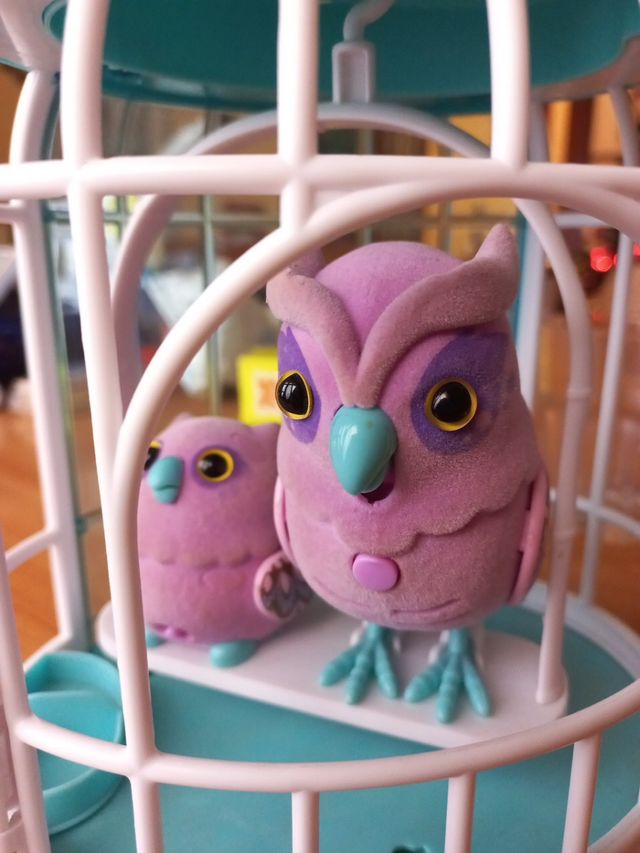 Pájaros Parlanchines