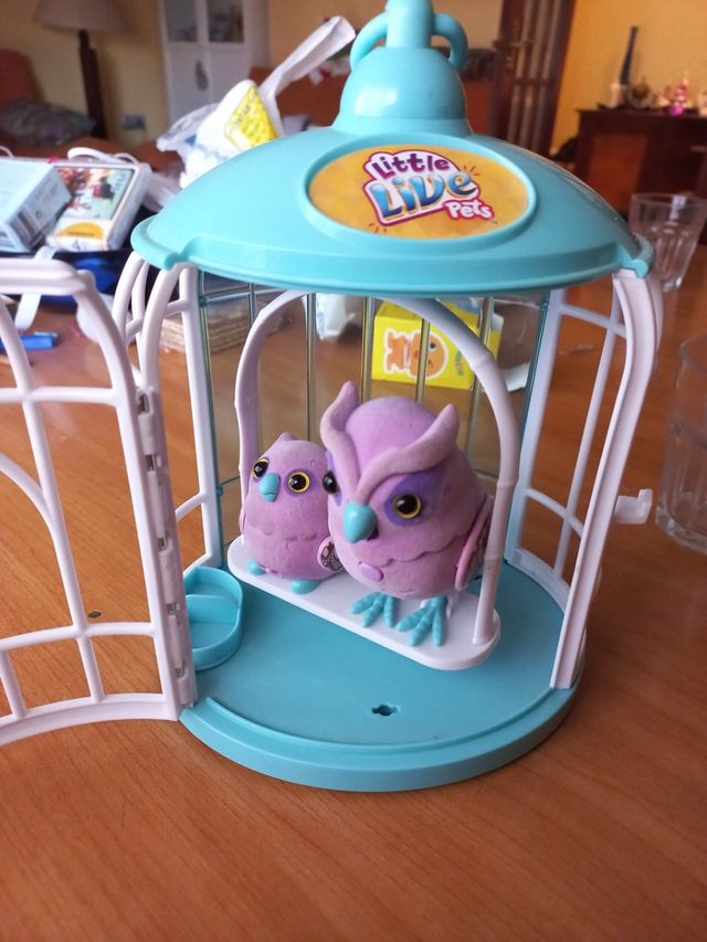 Pájaros Parlanchines