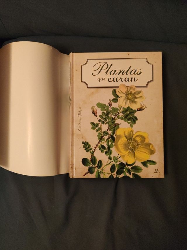 Plantas que curan (nuevo) 