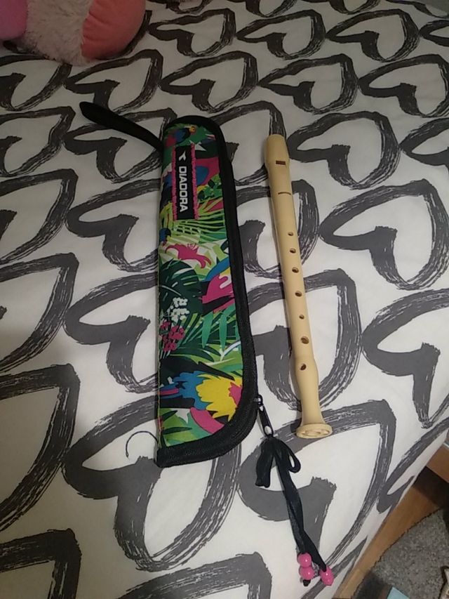 FLAUTAS Y FUNDA