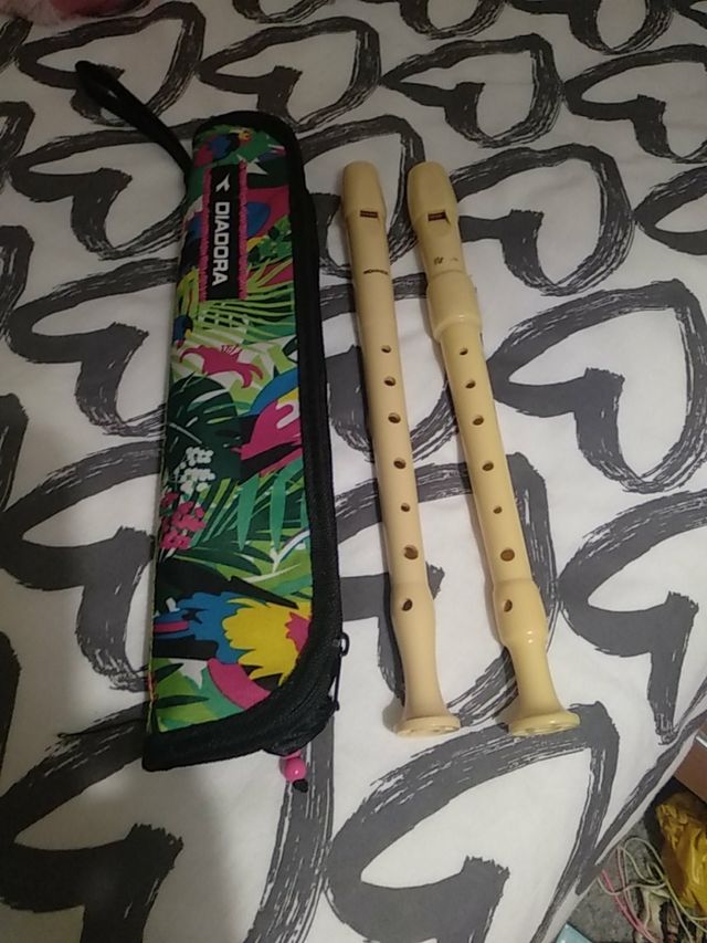 FLAUTAS Y FUNDA