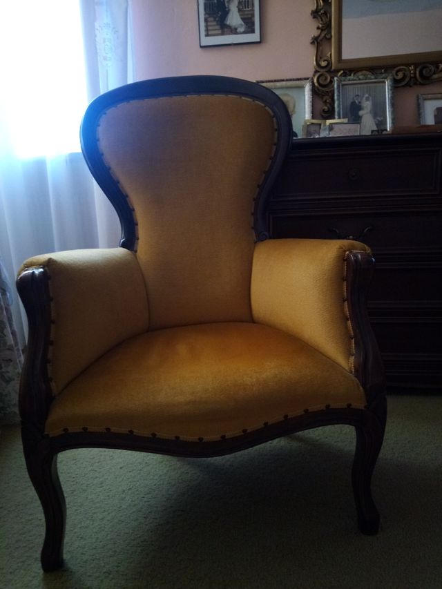 2 poltrone in velluto