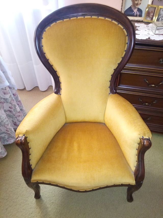 2 poltrone in velluto