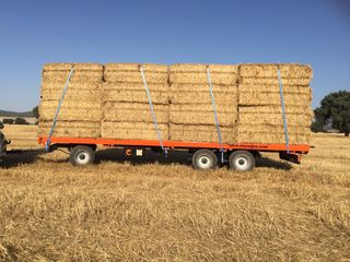 Plataforma 10,5 m agrícola Nueva 24.000kg