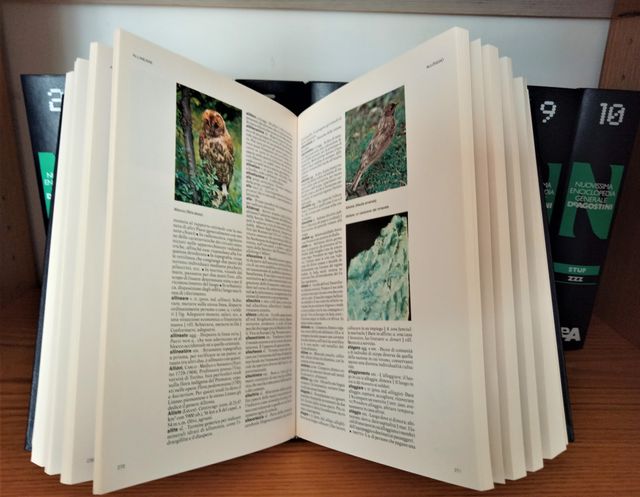 Enciclopedia generale De Agostini