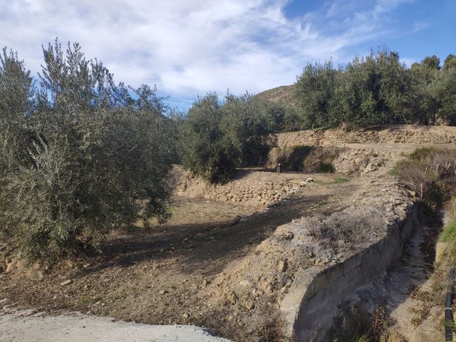 Terreno en venta