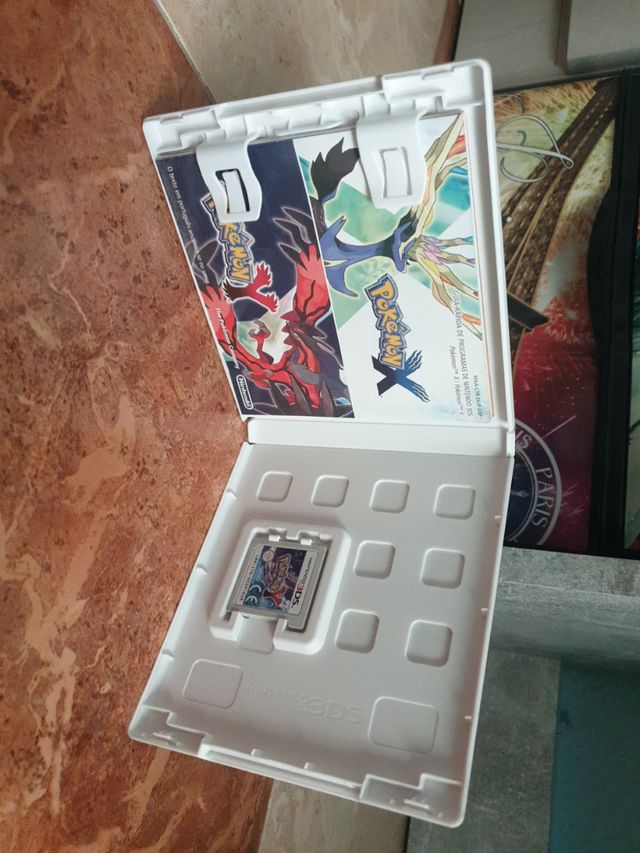 Pokemon Y