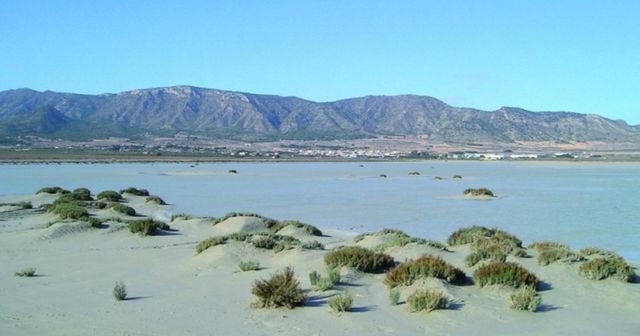 Ocasión: Parcela 600 metros urbanizada en Salinas