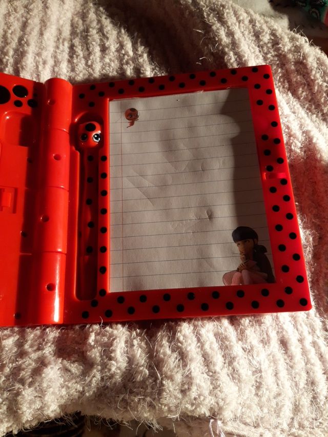 Ladybug Diario secreto