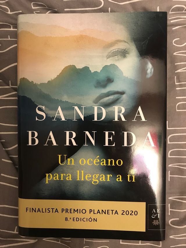 Un océano para llegar a ti