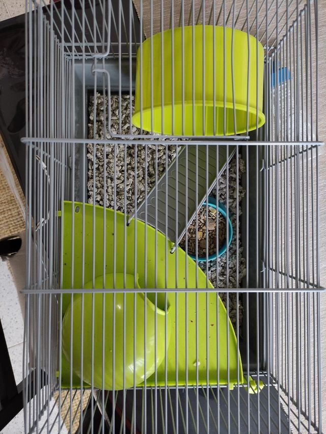 jaula de roedores más bebedero y comedero