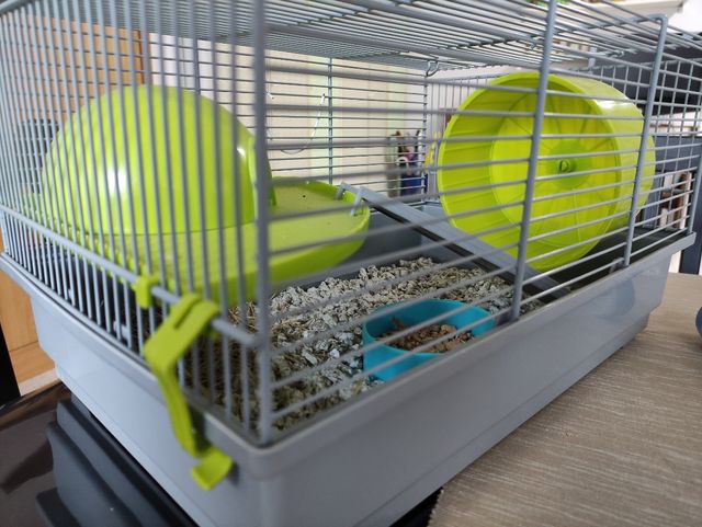 jaula de roedores más bebedero y comedero
