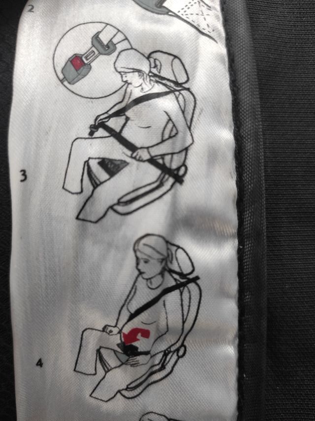 adaptador de cinturón de seguridad embarazo