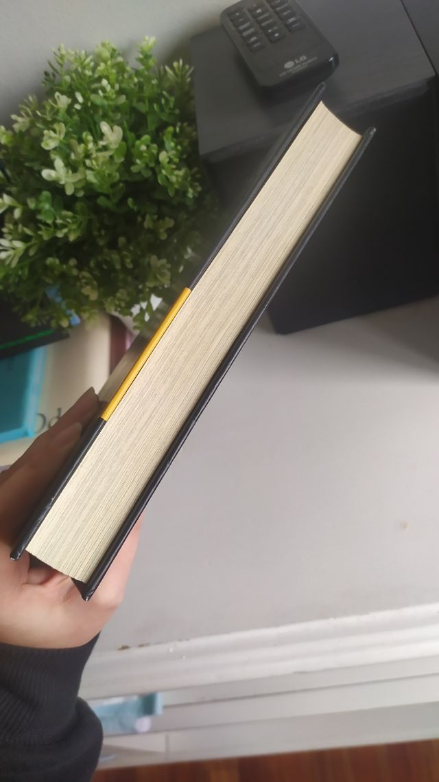 Reckless: Carne de Piedra (Cornelia Funke)