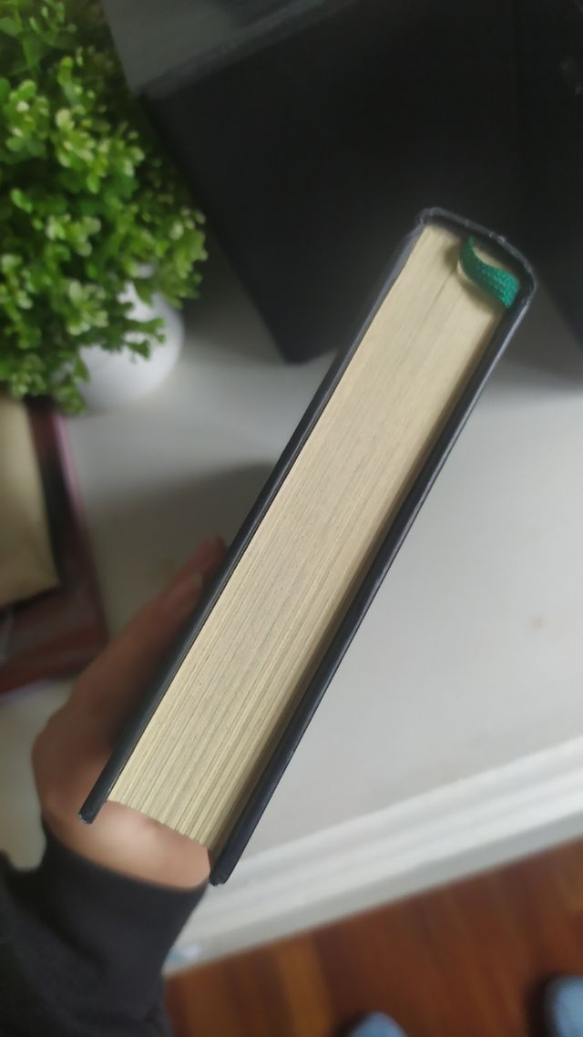 Reckless: Carne de Piedra (Cornelia Funke)