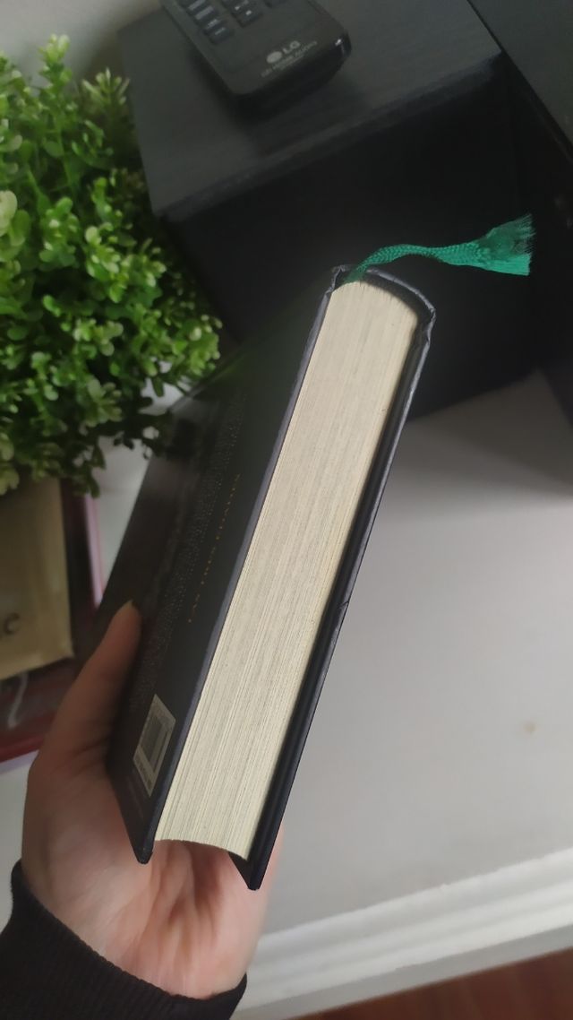 Reckless: Carne de Piedra (Cornelia Funke)