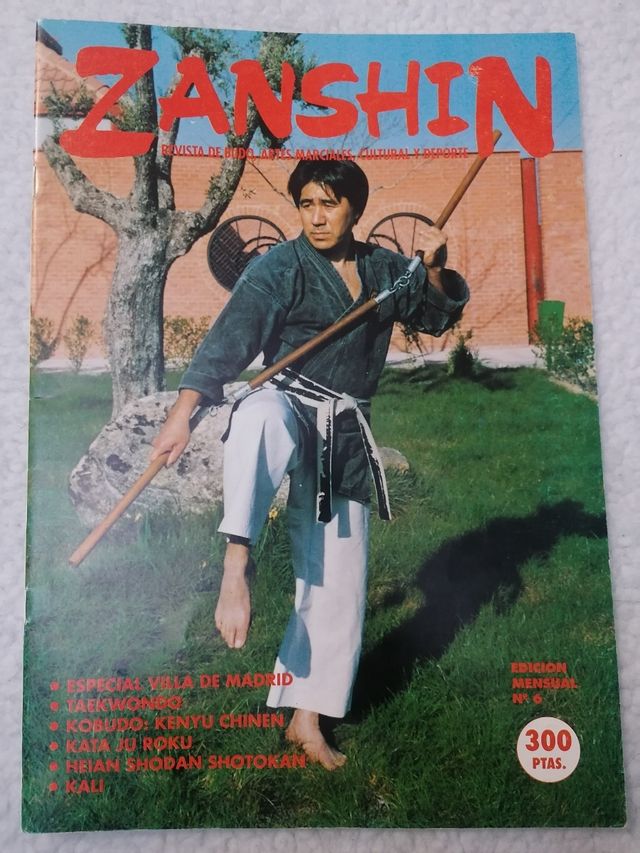 Revista Zanshin número 6