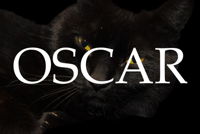 camara de fotos reflex canon EOS 1300D+18-55 IS II