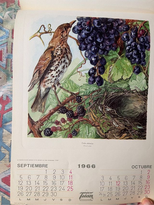 Calendario antiguo de 1966