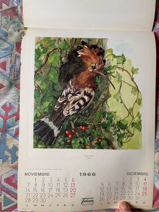 Calendario antiguo de 1966