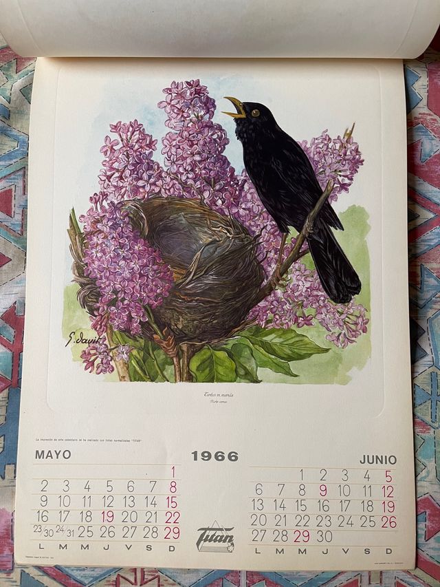 Calendario antiguo de 1966