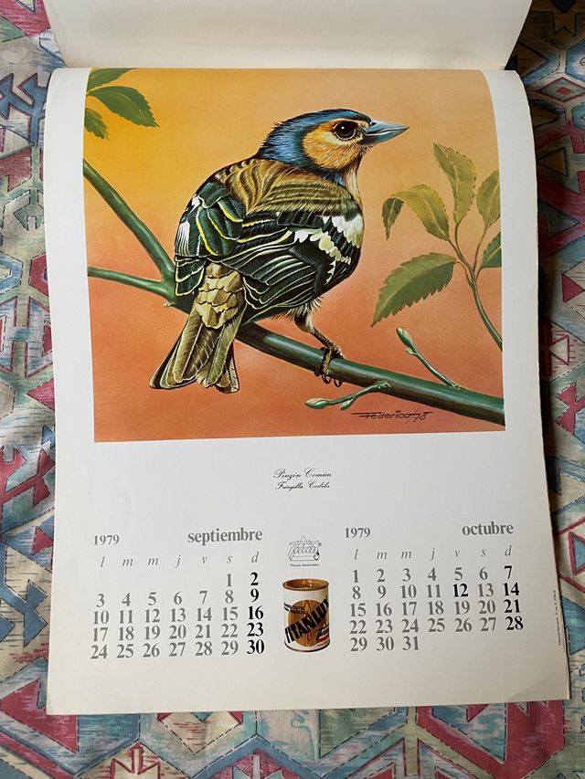 Calendario antiguo de 1979
