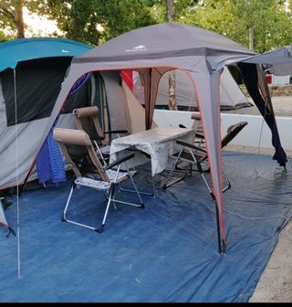 mix bin bezelye carpas de decathlon - dcs24.net