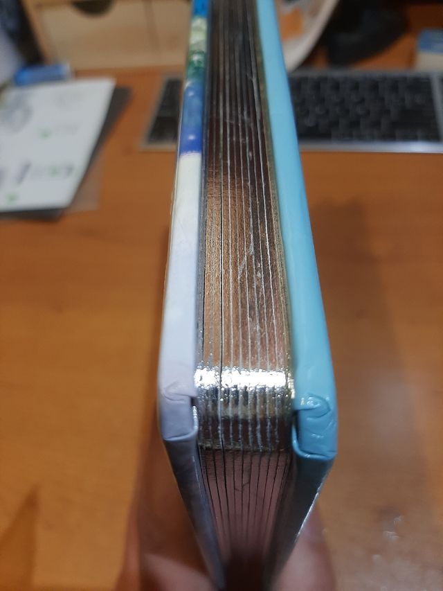 Libro Frozen "Una aventura congelada"