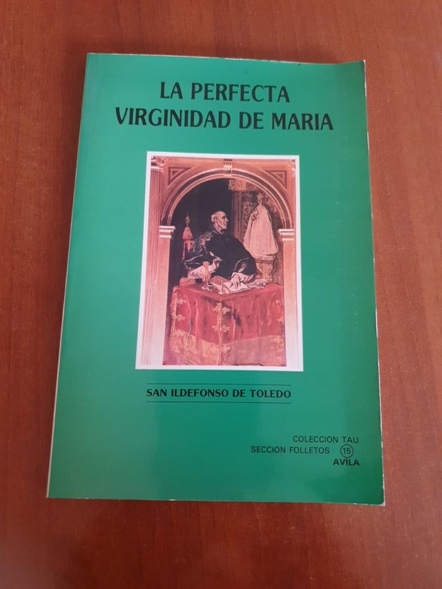La perfecta virginidad Maria