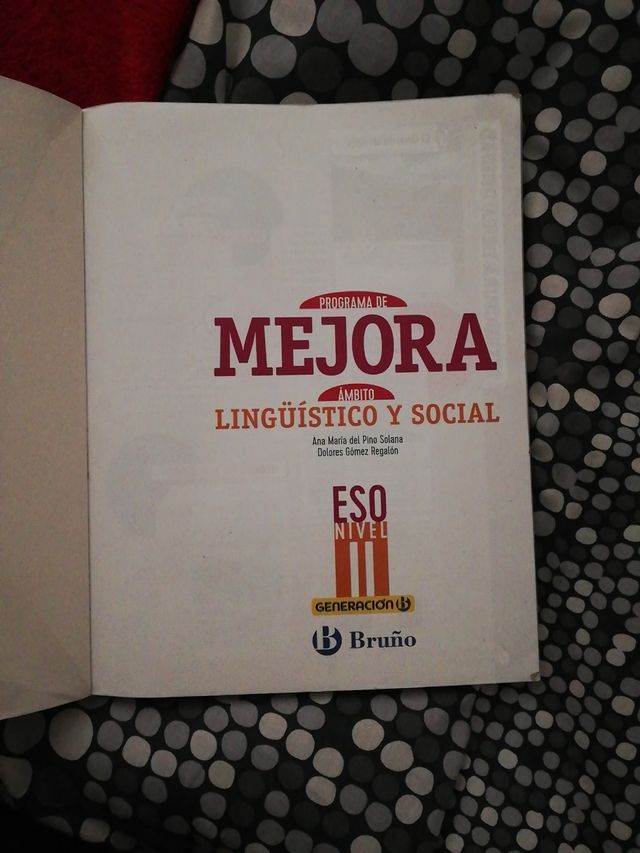 Programa de mejora